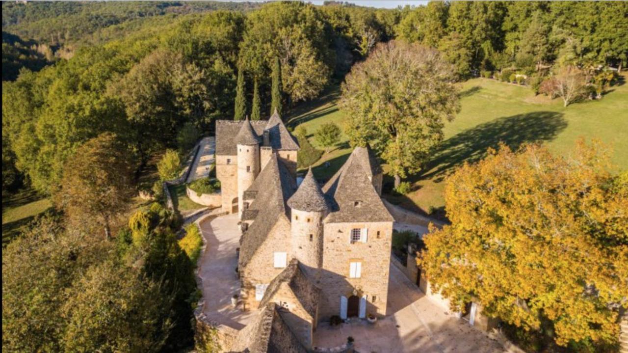 Chateau La Carriere Saint-Cyprien  Dış mekan fotoğraf
